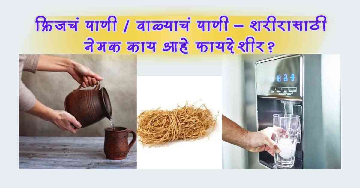 Summer Health Tips उन्हाळ्यात शरीराला थंड ठेवण्यासाठी रामबान उपाय! तुम्हाला याबद्दल माहीती आहेका ? 2